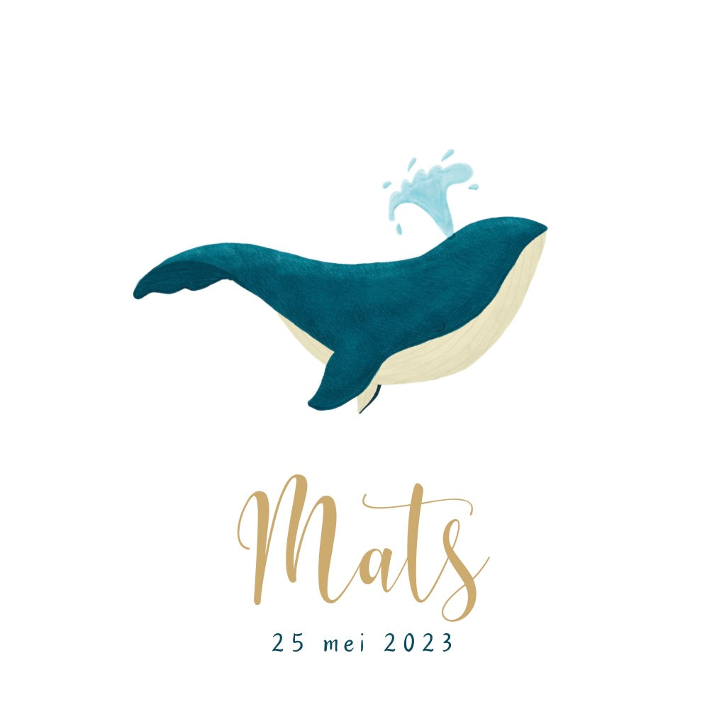 Geboortekaartje ‘Walvis’