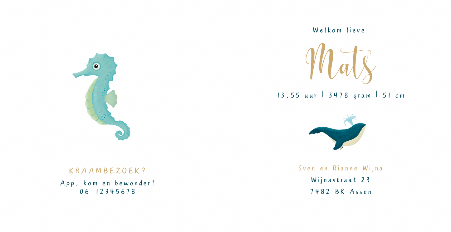 Geboortekaartje ‘Walvis’